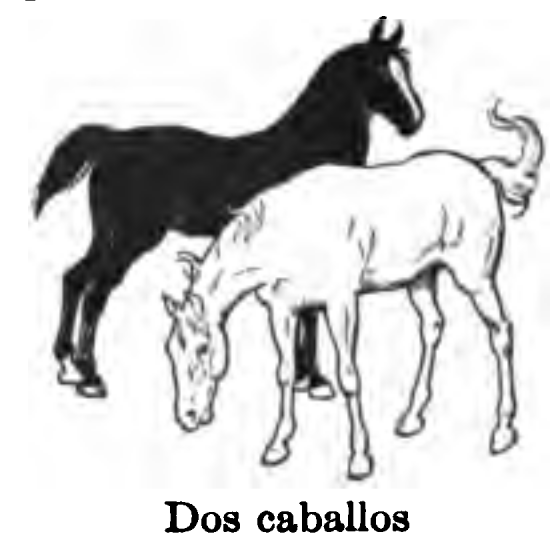 Dos caballos