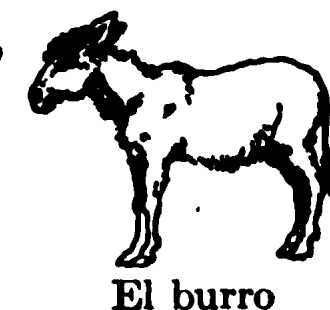 El burro