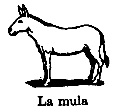 La mula
