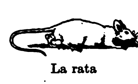 La rata